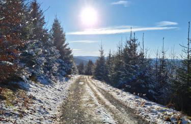 Ferienhaus 1000 Berge Winterberg Kamin & Whirlpool - Foto 37