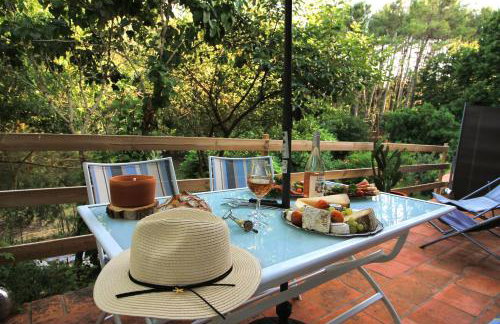 LOU PITCHOUN - Jacuzzi SPA Privé - Vignes - Proche ALBI et CORDES - Foto 11