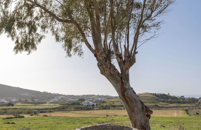 Myrsini Traditional Hillside Cottage - Photo 45