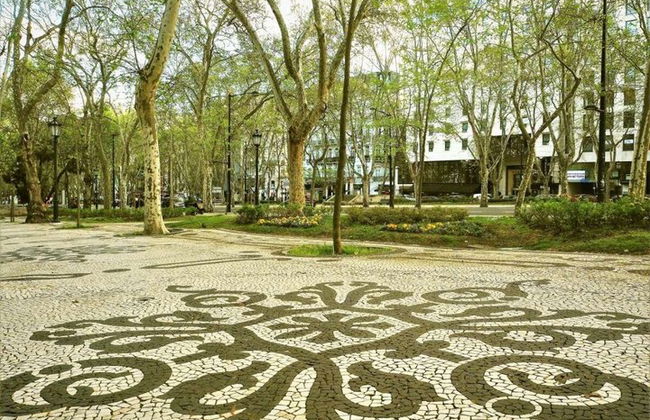 Lisbon Half Day Shopping Tour - Photo 5