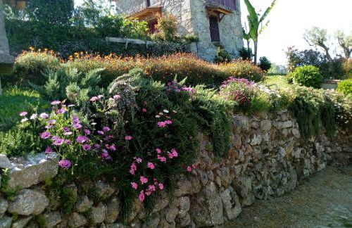 Quinta Souto Chão - Photo 25