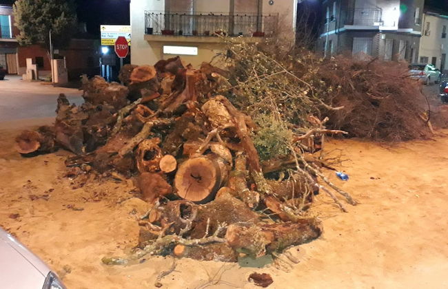 La Casa del Marqués - Foto 48