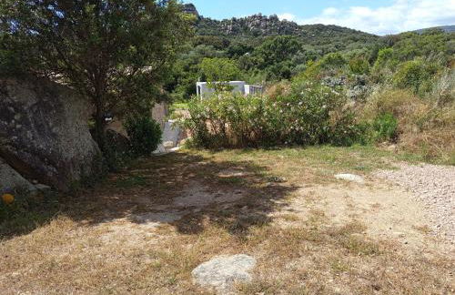 Bergerie U Caseddu - Foto 7