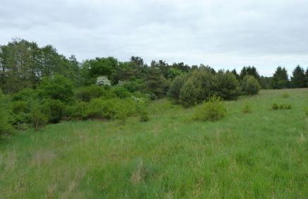 Bungalow am Küstrinsee bei Lychen - Photo 10