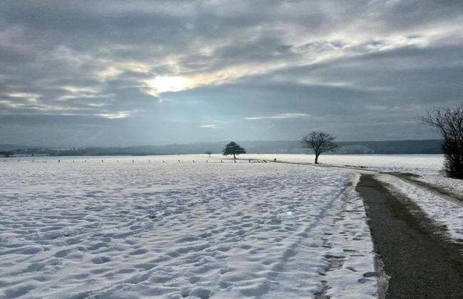 Wohnung in Deifeld mit Garten - Photo 33