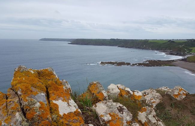 Immaculate 2 Bed Apartment on The Lizard Cornwall - Foto 16