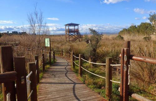 Playa y golf La Pineda - Photo 41