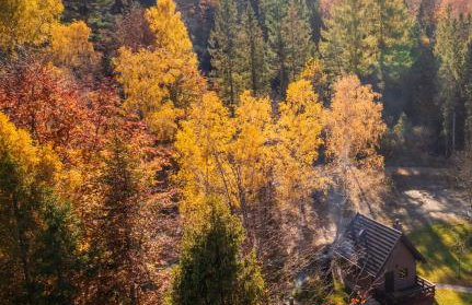 Domek w lesie DiABELSKi KOCiOŁEK - Foto 3