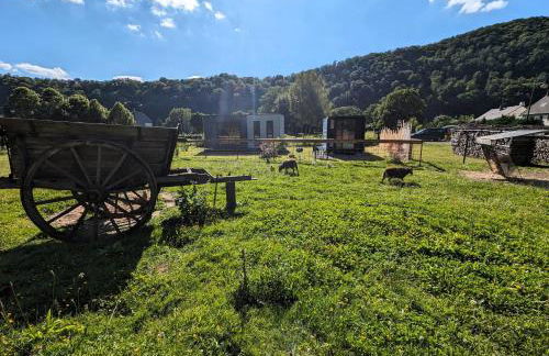 Au Ptit Bonheur De La Semoy - Foto 23