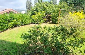 Antico Principato di Seborga - Foto 21