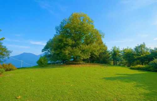 Villa Il Castagno - Foto 42