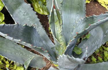 Historic Farmhouse Casa Del Chiodo - Foto 72