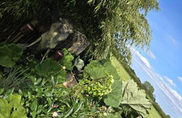 Caesars Lodge - Photo 62