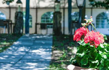 Villa La Topaia in Esclusiva - Foto 104