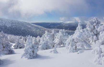 La casa del Alamo - Foto 24
