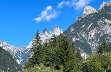 Ciasa Giulia - Photo 6