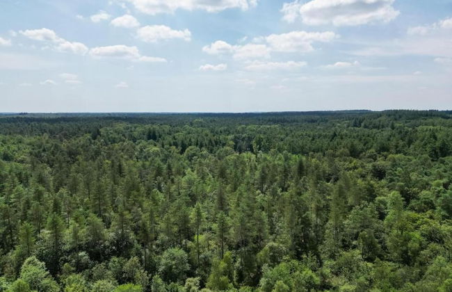 Forest-edge Villa With Sauna - Foto 41