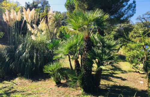 Résidence EMILIA - Foto 32