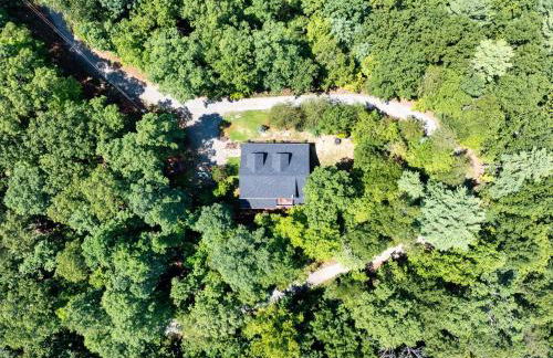 The Holiday Cabin at Lake Lure - Photo 48