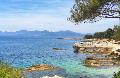 Appartement Cosy Calme Central-Terrasse Proche Palais - Foto 50