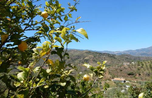 Casa del Limonero - Foto 23