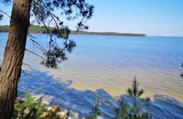 Au Cocon d'Ornon - Top Location Bordeaux - Foto 28