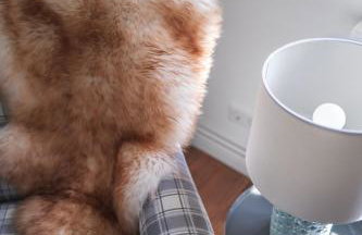 Alcor Exclusive Friedrichsruh - Foto 15