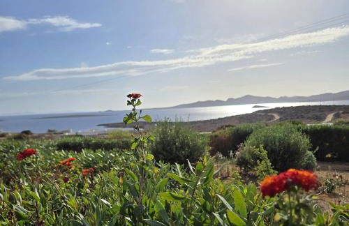 Paros Afrodite Luxury Villas - Photo 60