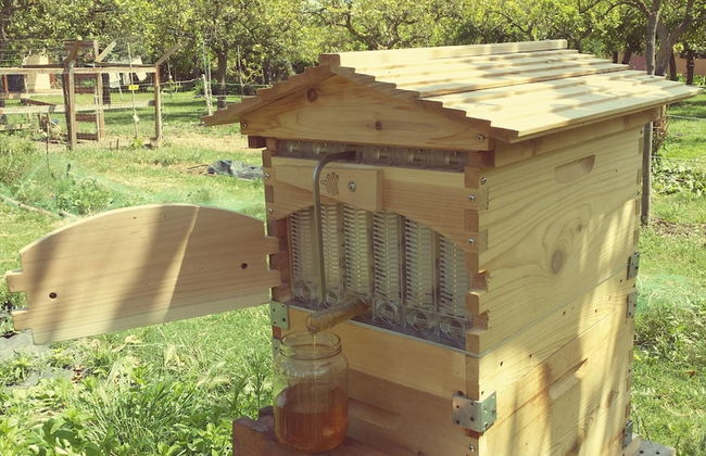 Casale Della Pergola With Cottage Sugarcane Pool - Foto 39