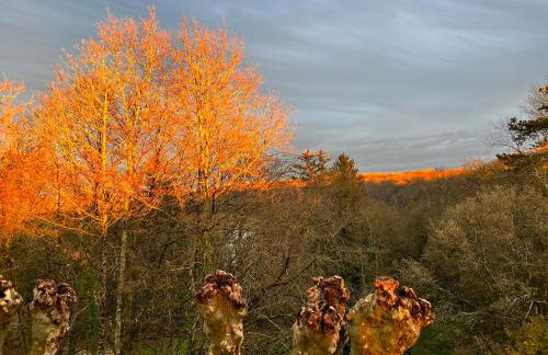 Domaine de Val combe - Foto 16