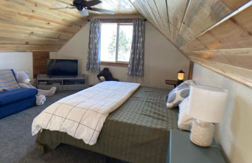 Secluded Modern Cabin On 10 Acres Tarryall Creek - Foto 27