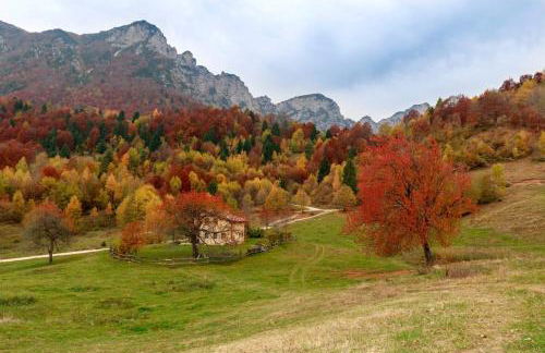 Casa Gildo 1828 - Foto 7