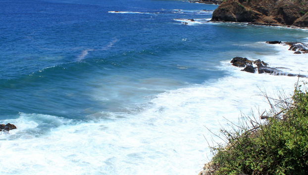 Excursión a la Isla de la Plata