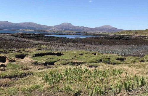 Ose Pod, an ever changing view to the sea - Foto 11