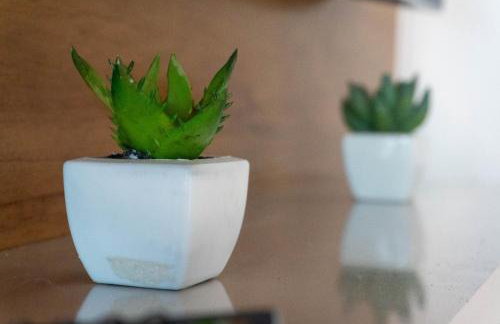 CasaLagodoscisnes Temporada - Foto 14