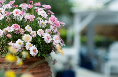 Sideratos Apartments - Photo 20