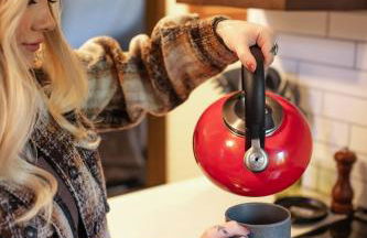 Dogwood Peak Mid-Century A-Frame with AC Style - Foto 32