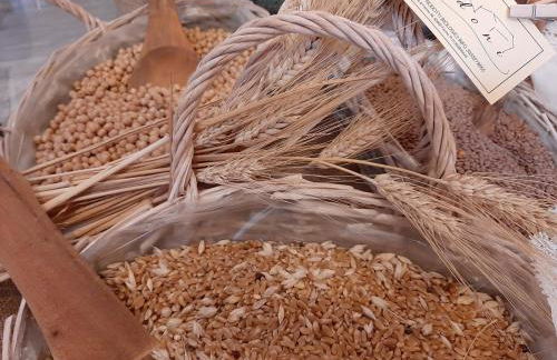 La Voce della Natura - Foto 35