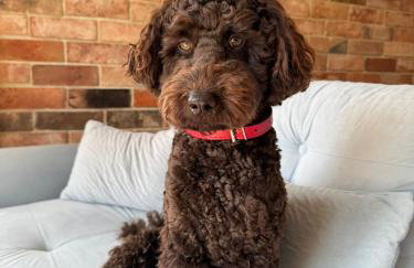 Swobodna 6 - Foto 67