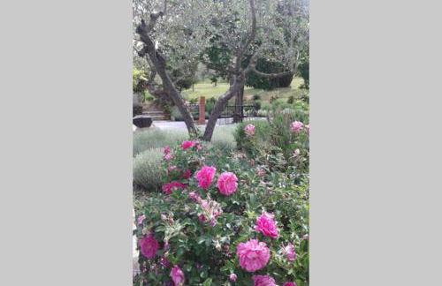 Umbrian Holiday on the enchanting hills of Todi! - Foto 18