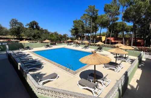 Domaine Des Mimosas - Foto 1