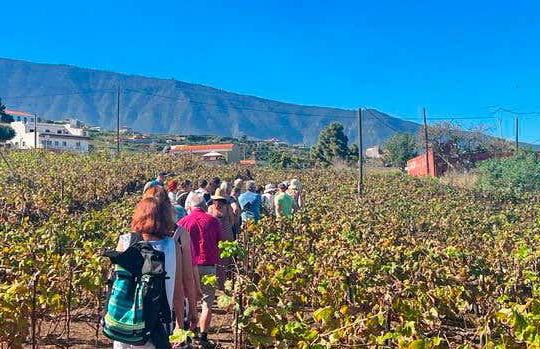 Tour in Puerto de la Cruz - Photo 6