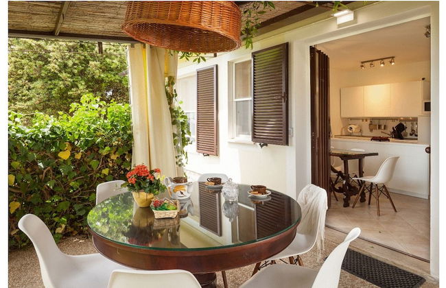 Artemisia negli ulivi B&B - Photo 27