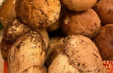 Etna Charming Apartment - Foto 16