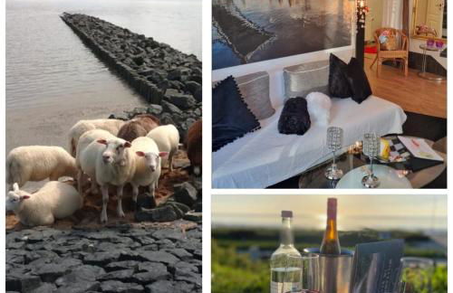 Auf dem alten Deich - Foto 1