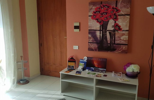 The Artists - Foto 40