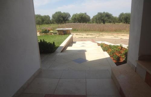 Apartments Ždravac - Photo 8