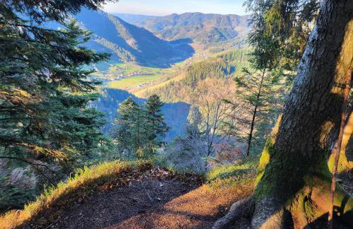 Ferienwohnung Herzlicht - Foto 22