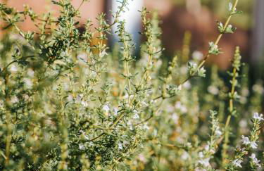 Alojamiento Rural 1Respiro Parque Natural Serra Calderona - Photo 43