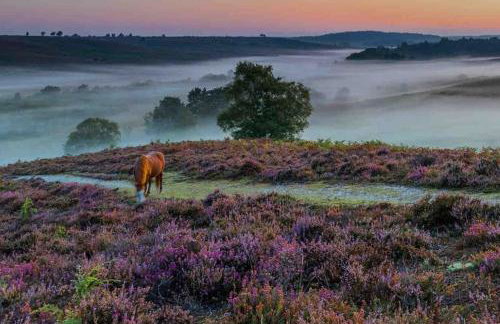 The Lymington Hub Slps 13 hot tub/chef/spa - Photo 3